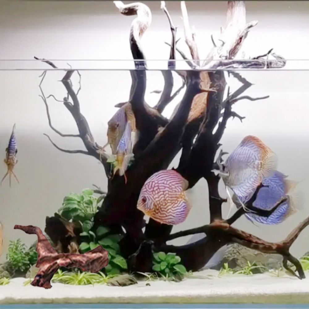 Creative Irregular Shape Coral - Aquarium Plant Substrate 评论和价格