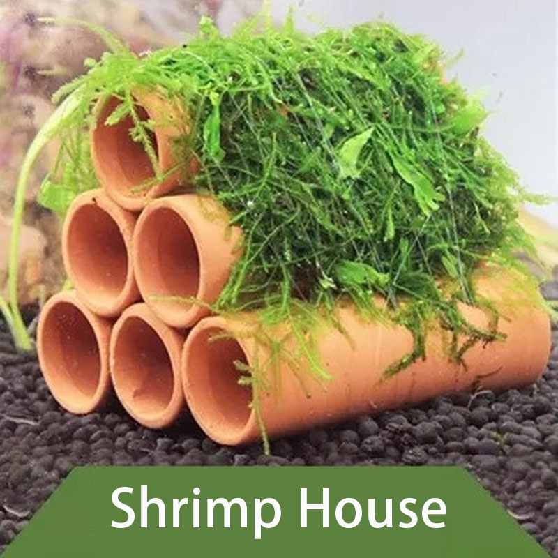 Clay Aquarium Decoration Fish  - Aquarium Plants Live 评论和价格