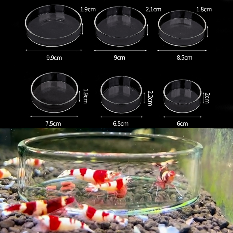 Shrimp Feeding Dish High Trans - Aquarium Fertilizer 评论和价格
