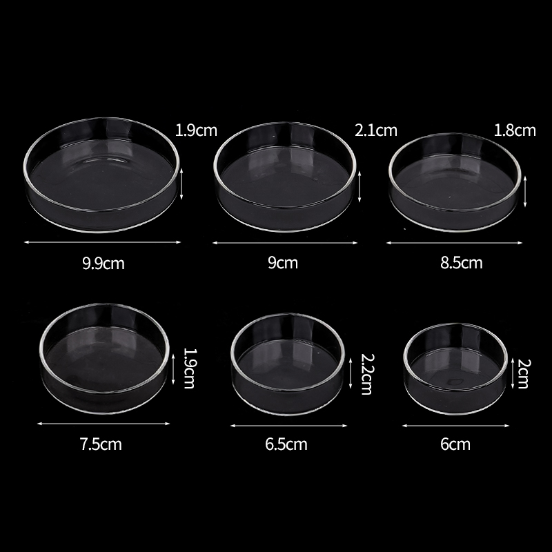 Shrimp Feeding Dish High Trans - Aquarium Fertilizer 评论和价格