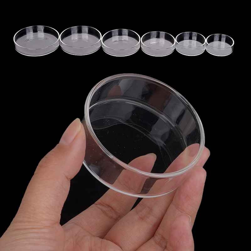 Shrimp Feeding Dish High Trans - Aquarium Fertilizer 评论和价格