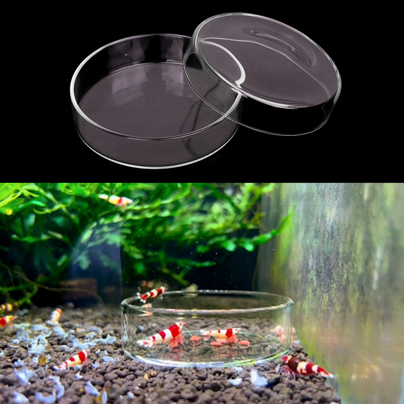 Shrimp Feeding Dish High Trans - Aquarium Fertilizer 评论和价格