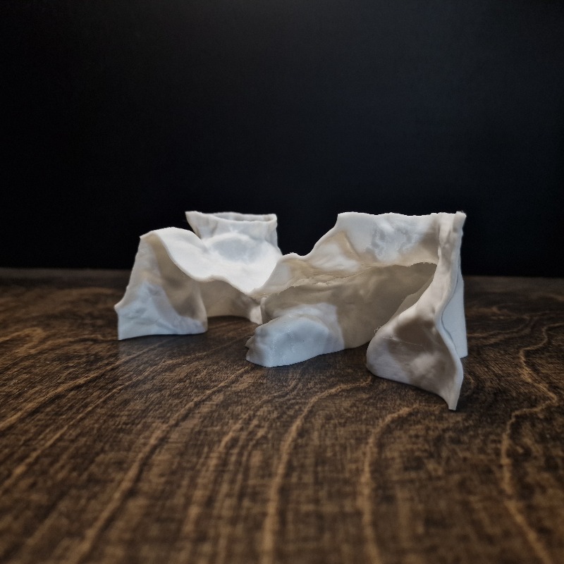 Premium 3D Print ShoreSand Aqu - Aquarium Driftwood 评论和价格