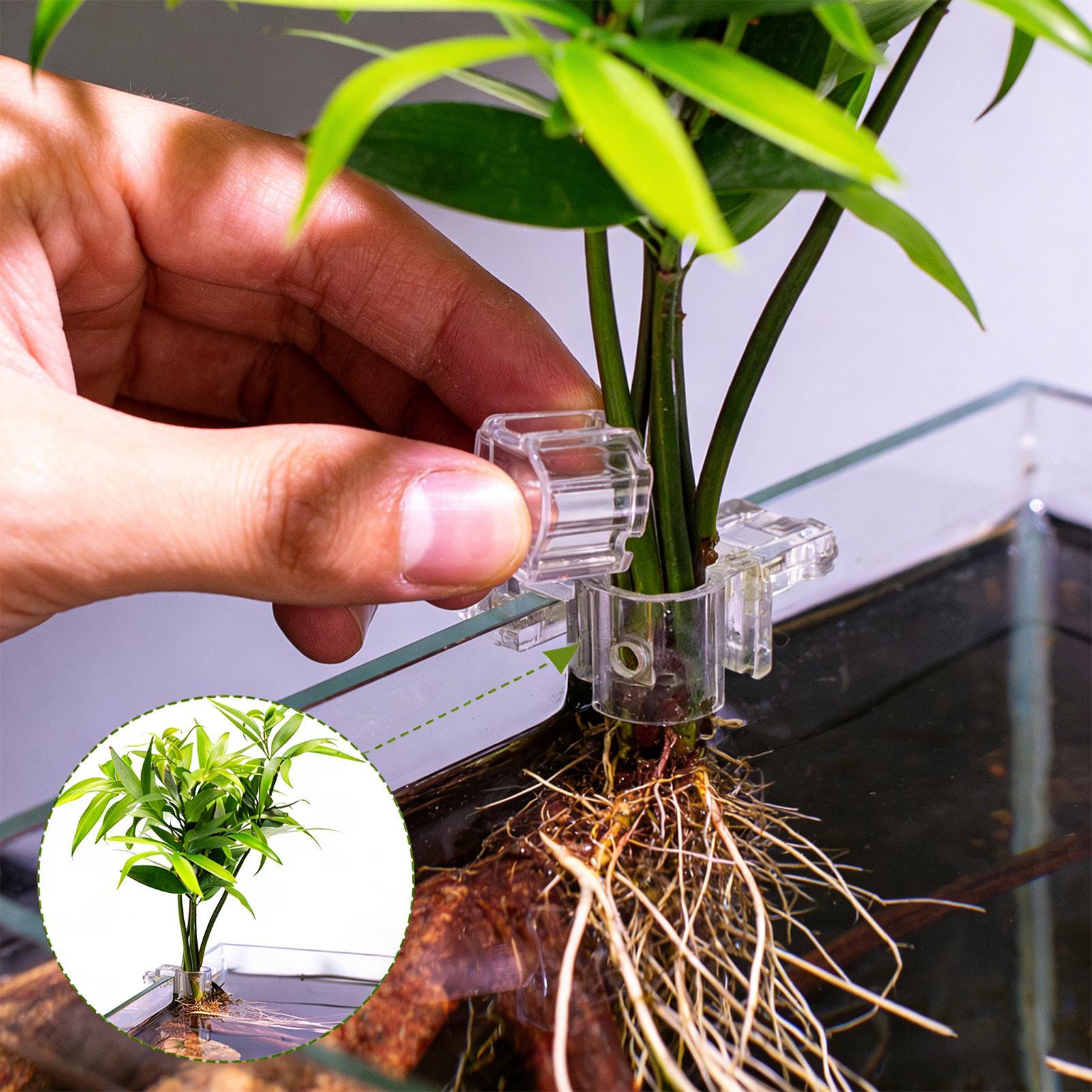 6pcs Aquarium Plant Holders Cl - Aquarium Plants Live 评论和价格