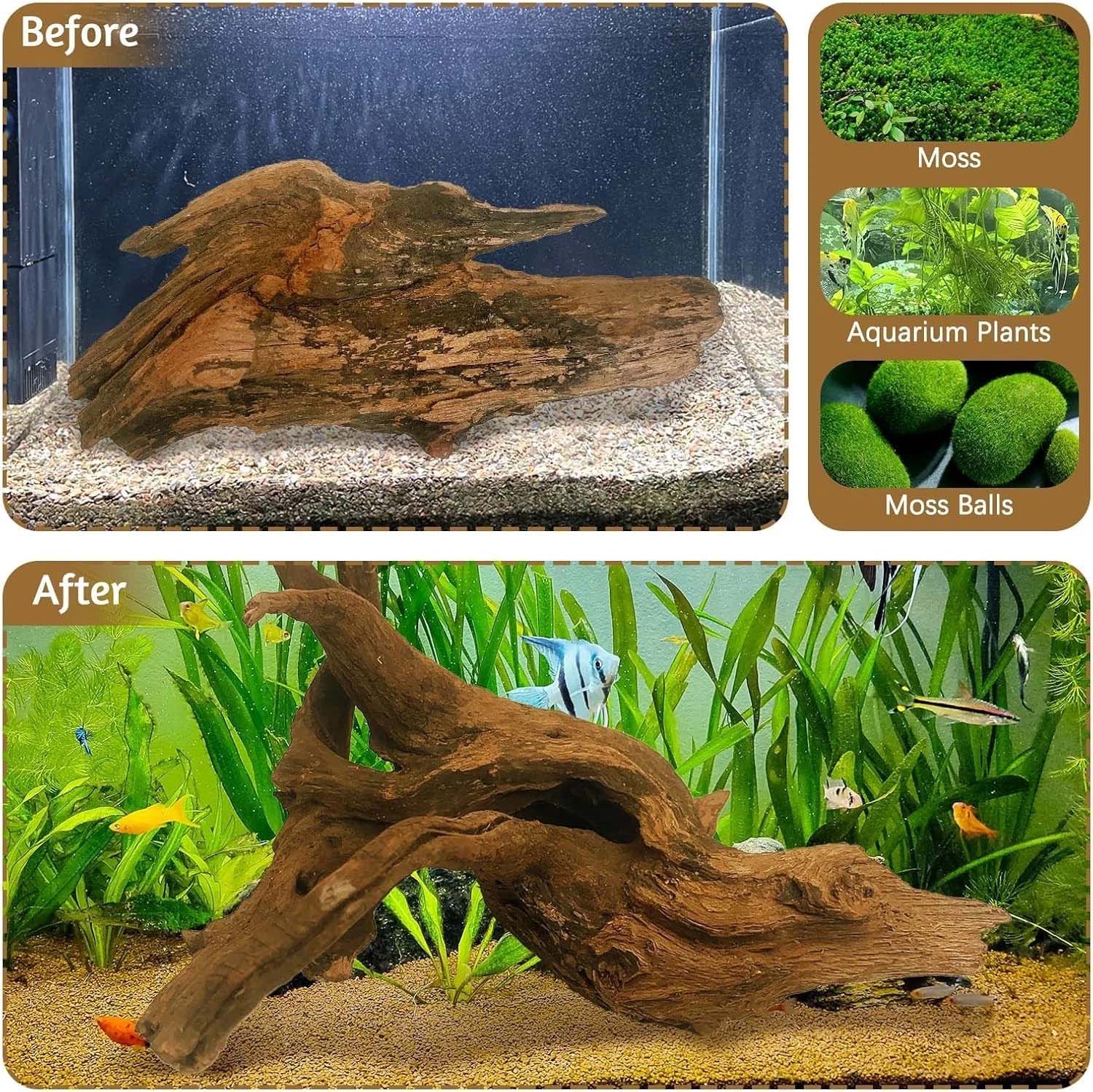 15-20CM 1Pc Natural Driftwood  - Aquarium Plant Substrate 评论和价格