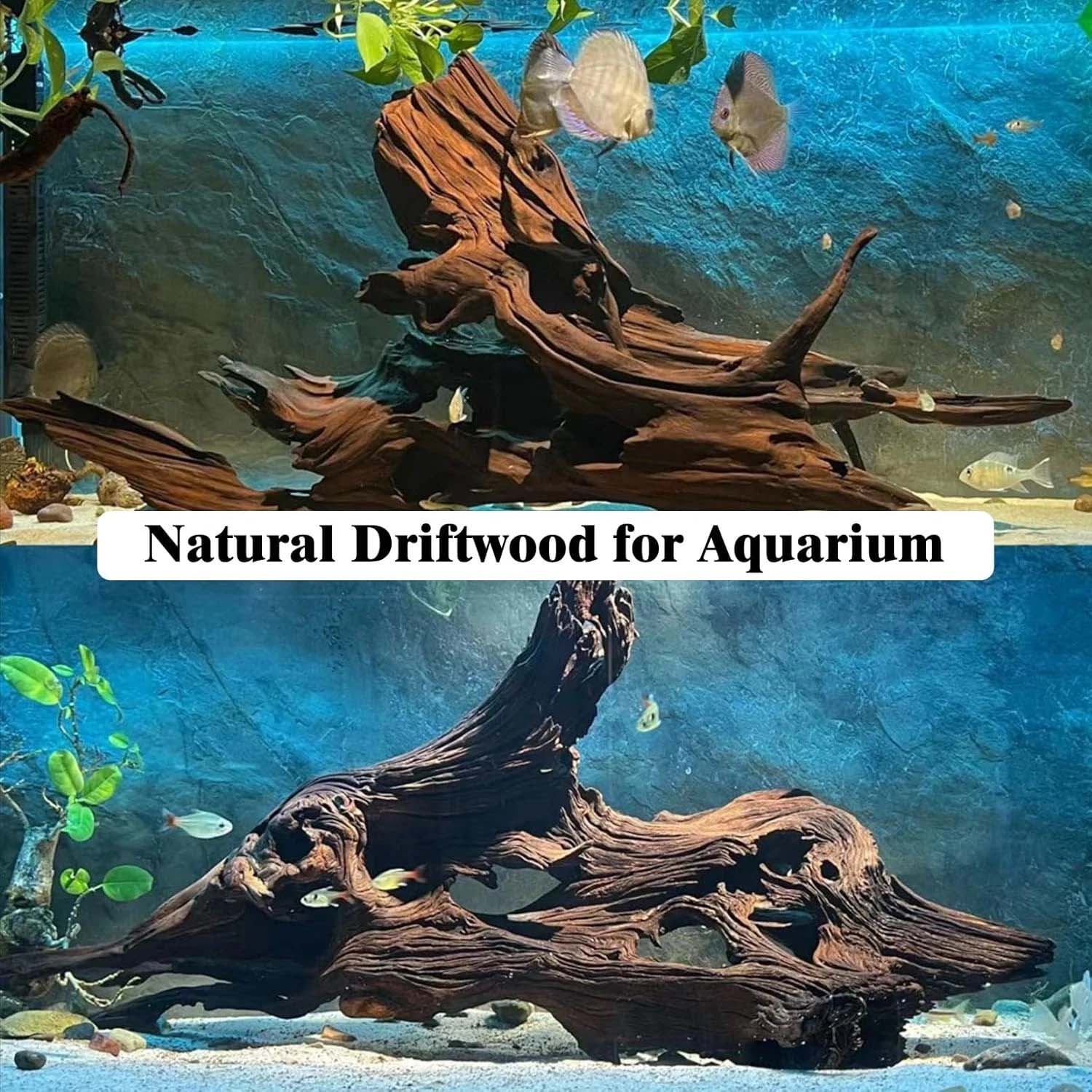 15-20CM 1Pc Natural Driftwood  - Aquarium Plant Substrate 评论和价格
