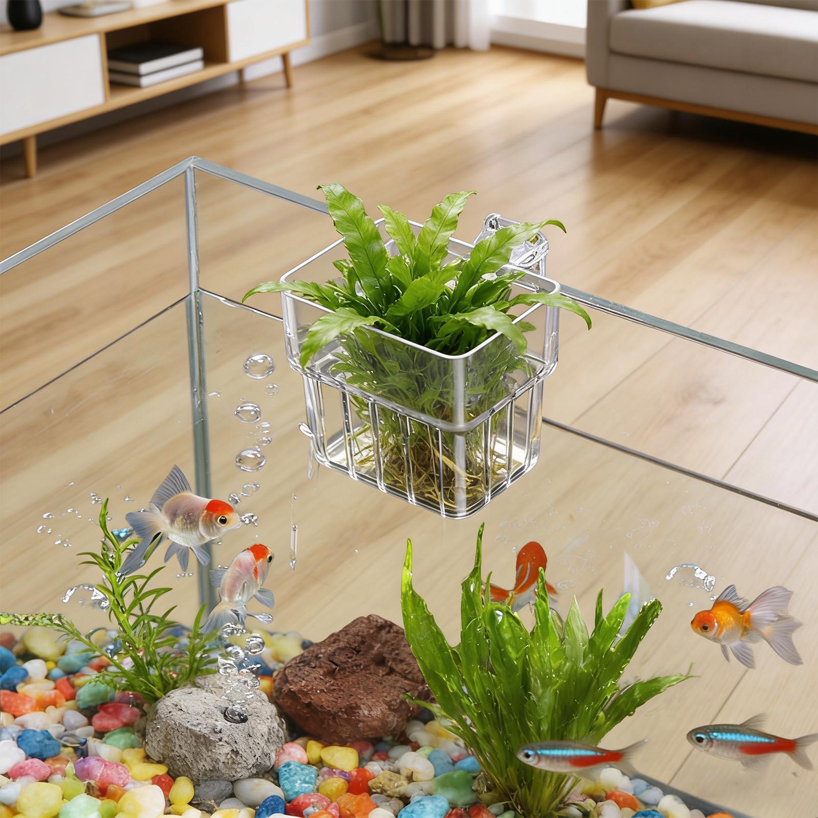 Aquarium Transparent Hanger Po - Aquarium Plants Live 评论和价格