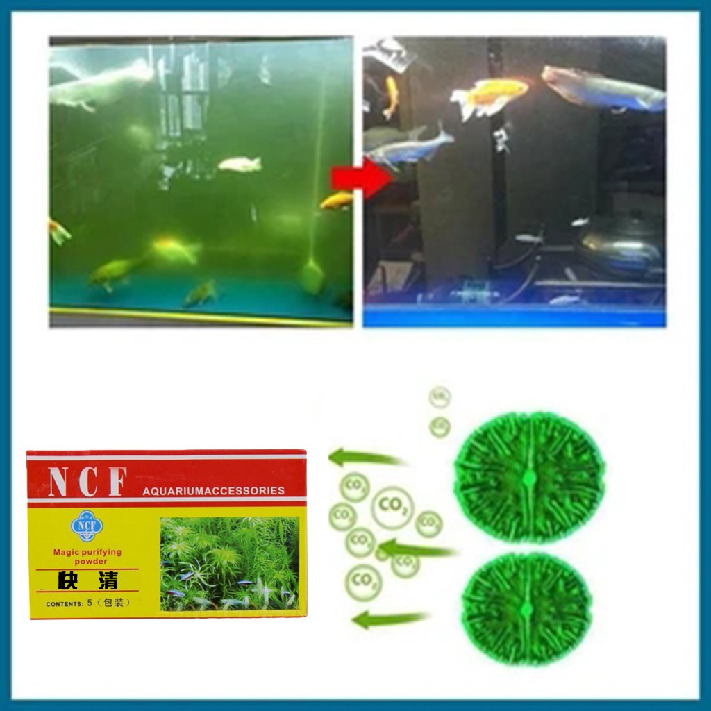 Aquarium Water Purifying Powde - Aquarium Moss 评论和价格