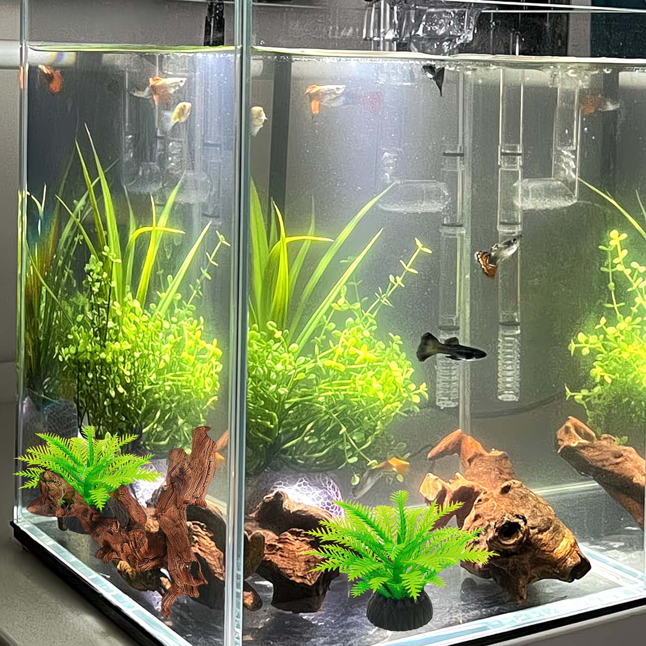 5-10CM Natural Sinkable Driftw - Aquarium Driftwood 评论和价格