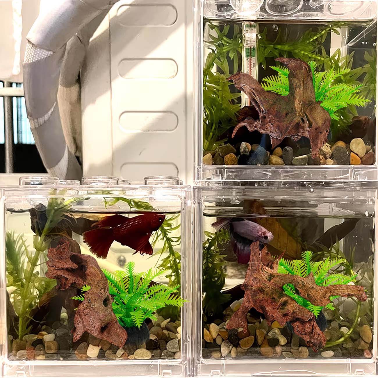 5-10CM Natural Sinkable Driftw - Aquarium Driftwood 评论和价格