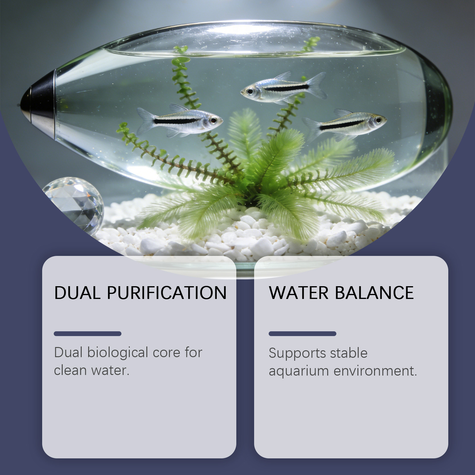 Algae Remover Tablets for Aqua - Planted Aquarium Algae Control 评论和价格
