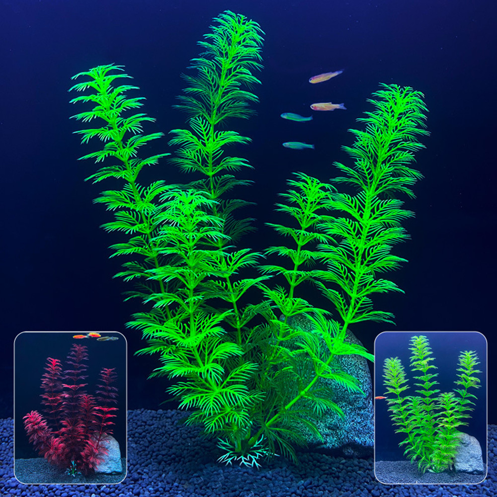 14cm - 30cm Fake Aquarium Plan - Live Plant Aquarium 评论和价格