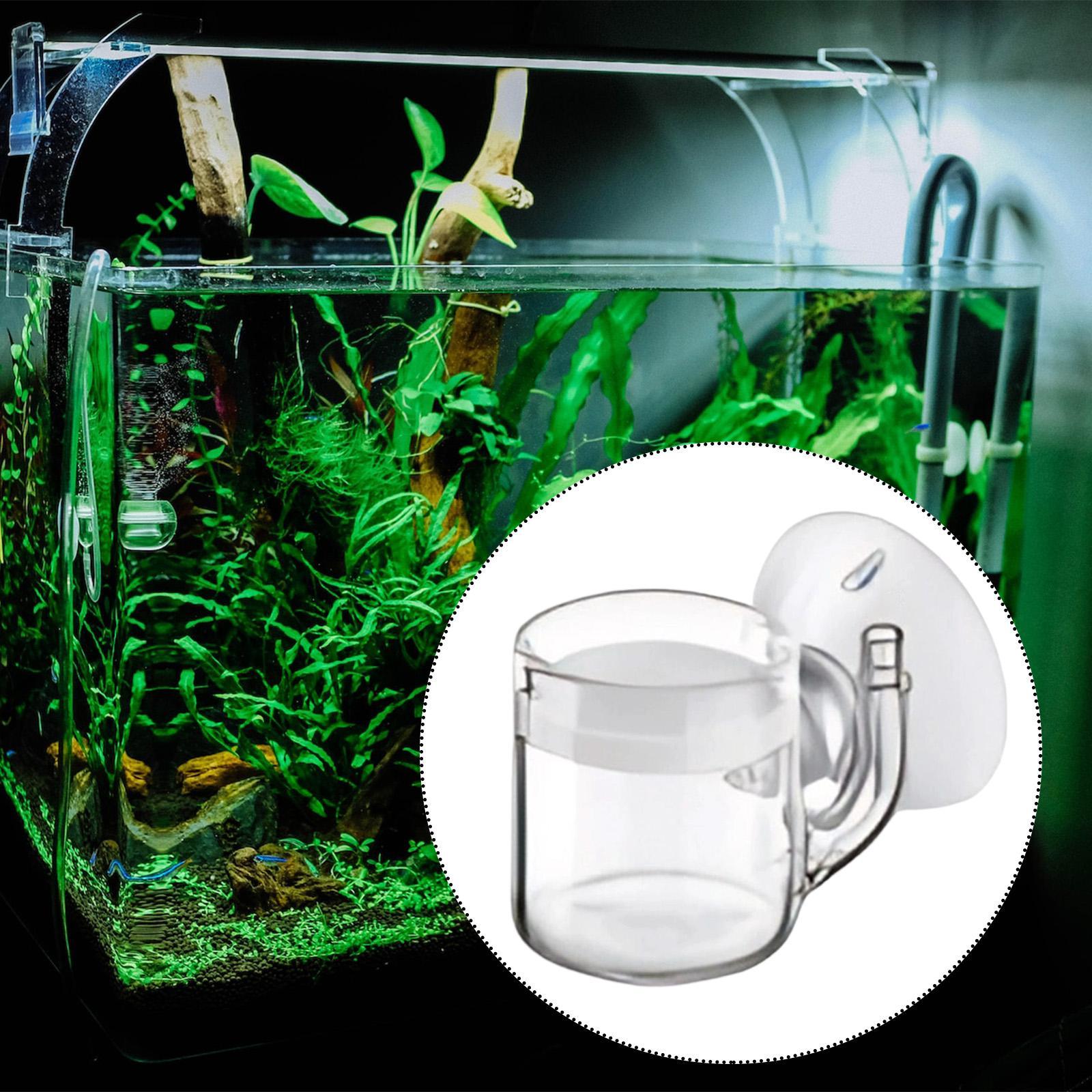 CO2 Diffuser Flat Bottom Silen - Planted Aquarium Cleaning 评论和价格