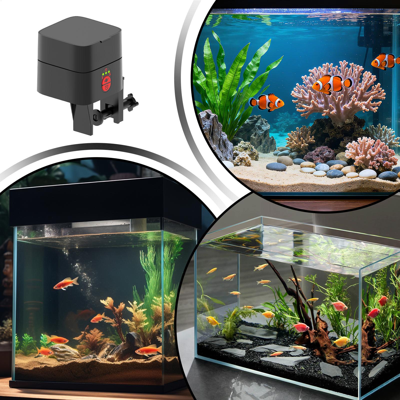 Auto Fish Feeder For Aquarium  - Aquarium Fertilizer 评论和价格