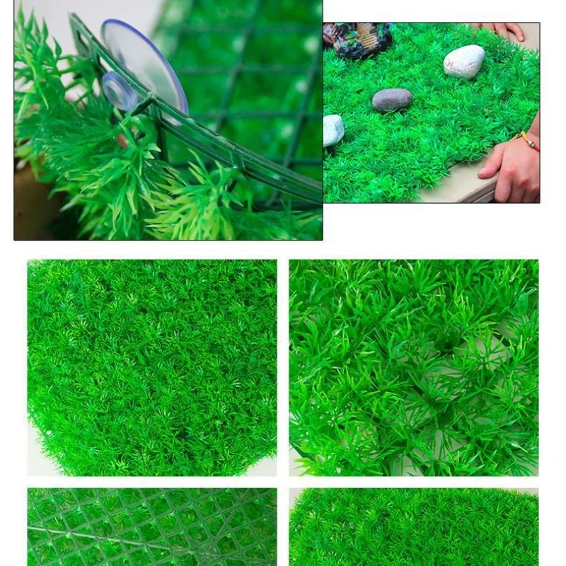 Artificial Grass Lawn Aquarium - Live Plant Aquarium 评论和价格