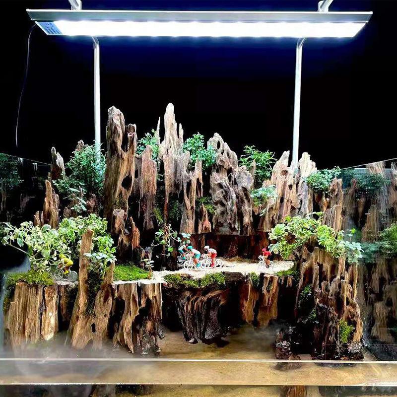 △ Shrimp Wood Aquarium Decor,  - Aquarium Driftwood 评论和价格