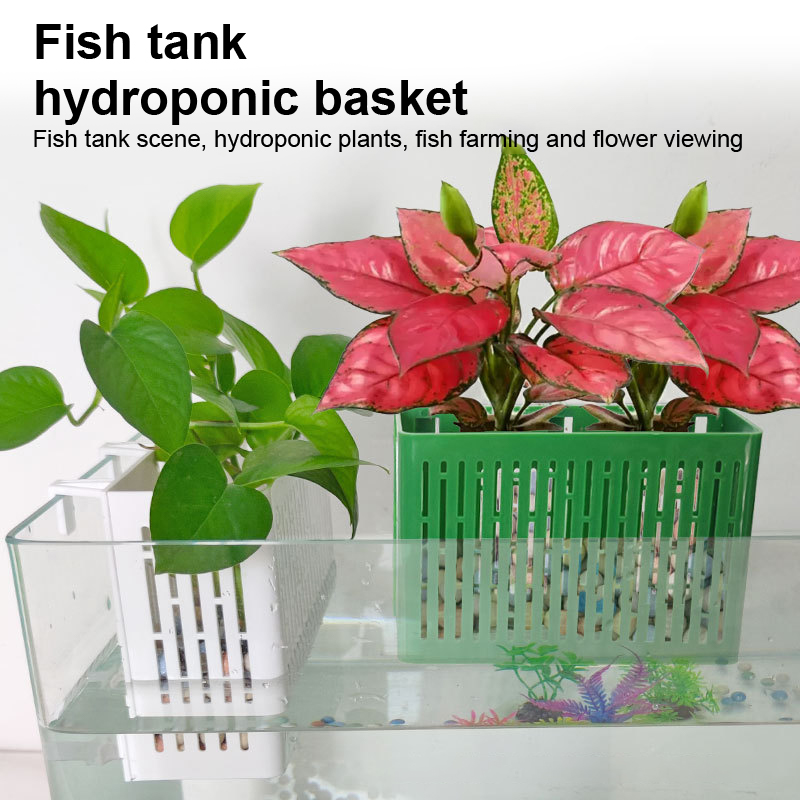 【F】Fish Tank Hanging Planter A - Aquarium Plant Holder 评论和价格