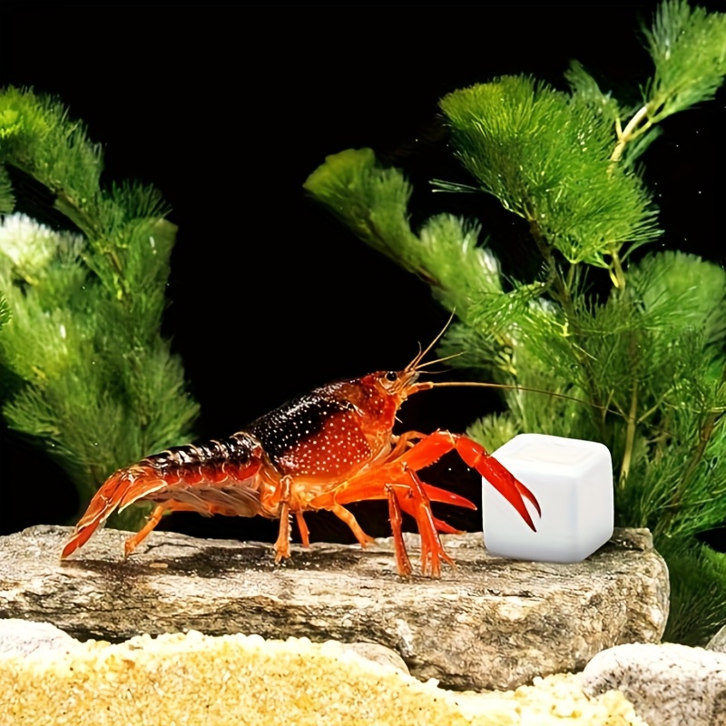 6 Pcs Fish Tank Calcium Block  - Aquarium Plants Live 评论和价格