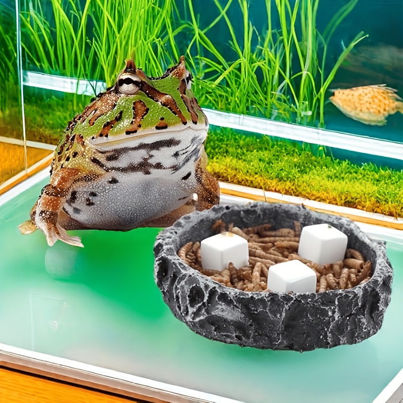 6 Pcs Fish Tank Calcium Block  - Aquarium Plants Live 评论和价格