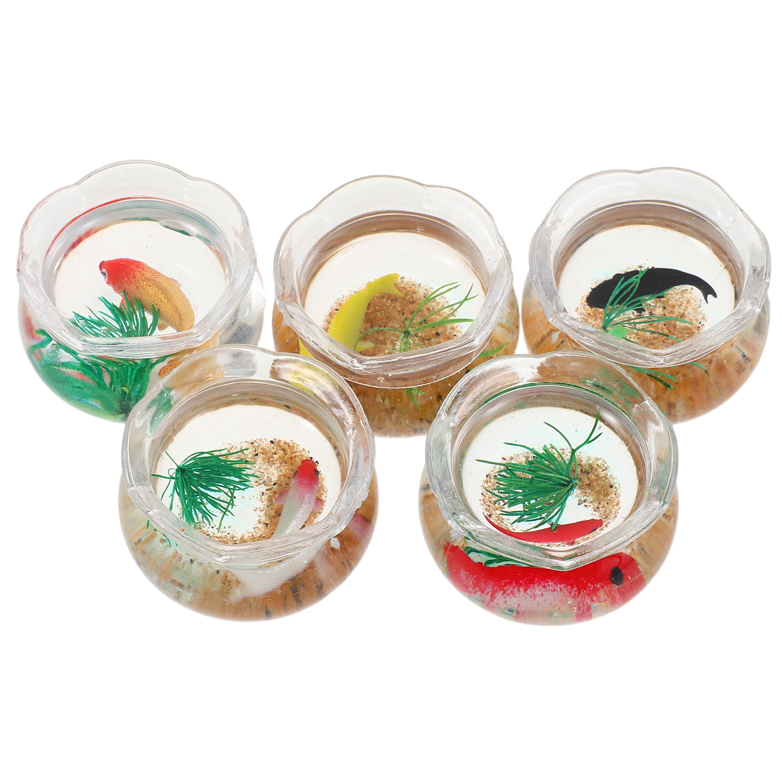 5Pcs Mini Fish Bowl Realistic  - Planted Tank 评论和价格