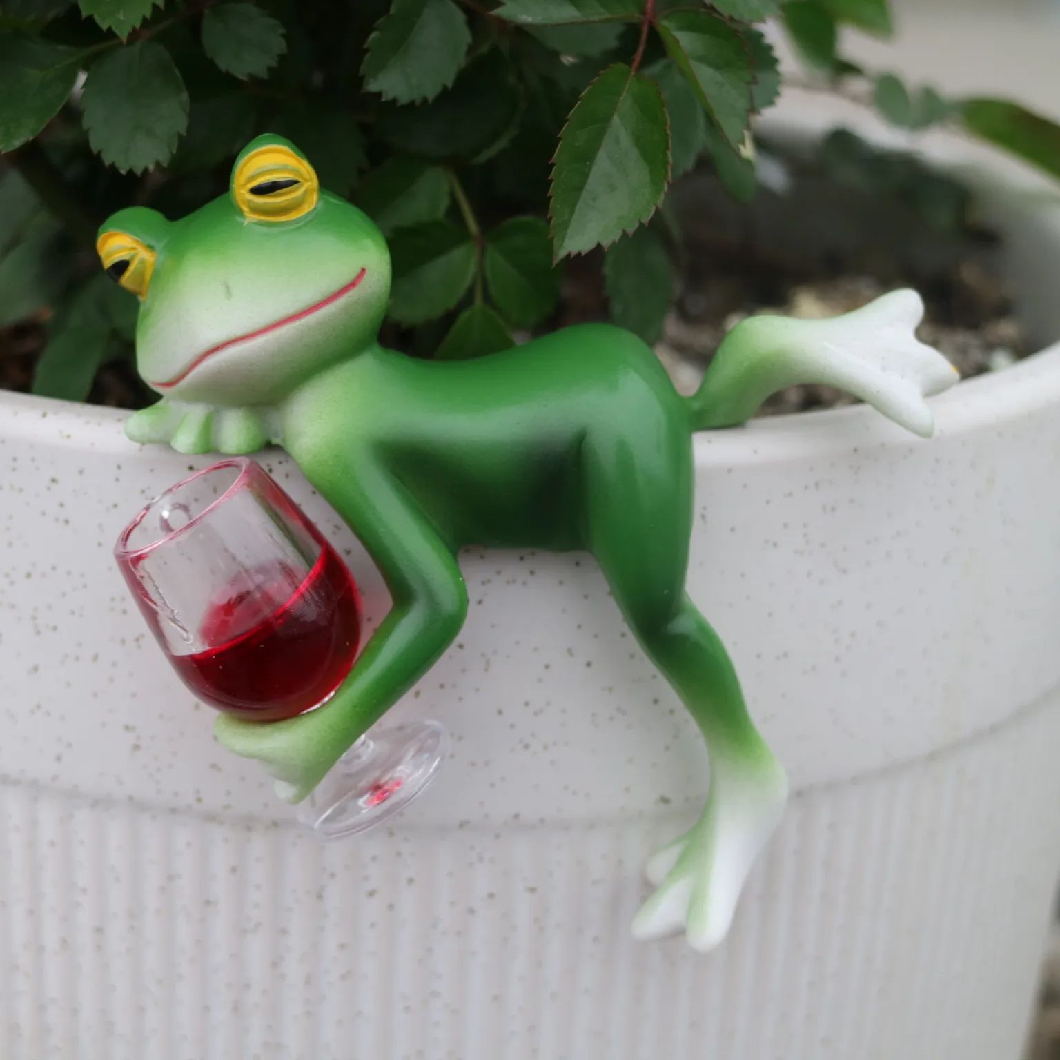 A delightful green frog and wi - Plant Aquarium Pot 评论和价格