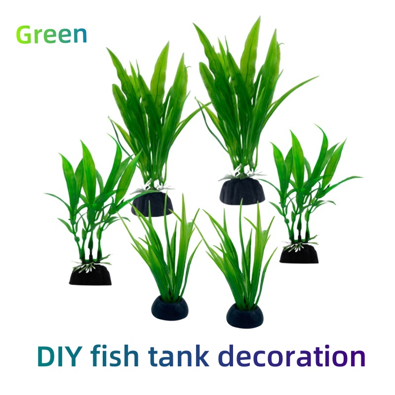 6pcs Packs Aquarium Plants, Fi - Live Plant Aquarium 评论和价格