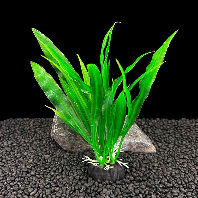 6pcs Packs Aquarium Plants, Fi - Live Plant Aquarium 评论和价格